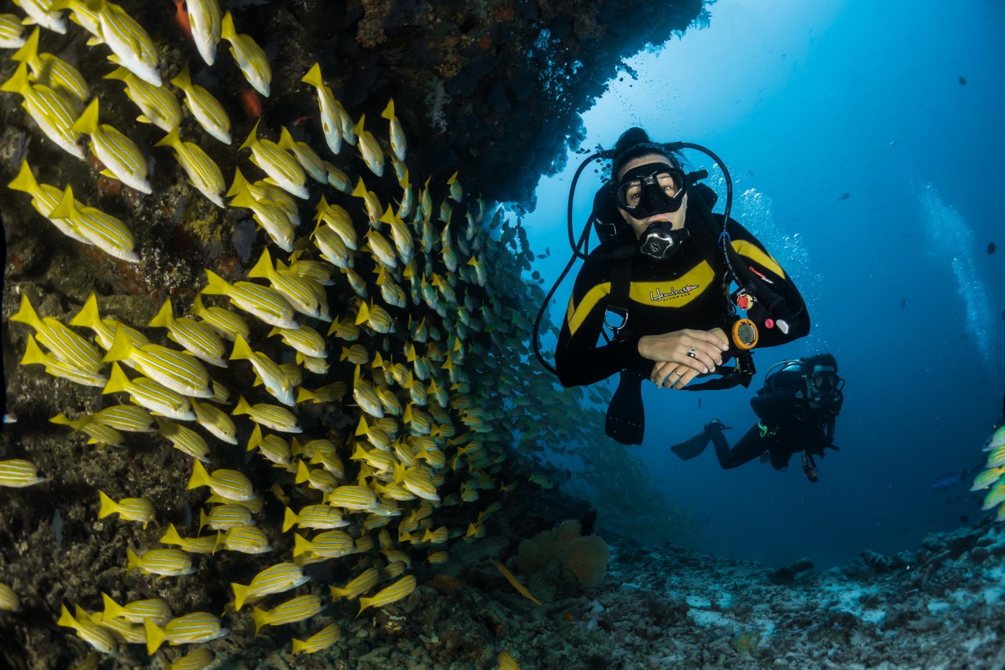 buceo con peces