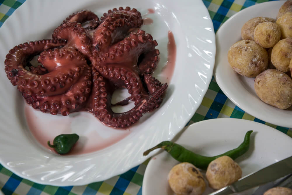 canarian octopus and papas arrugadas dish