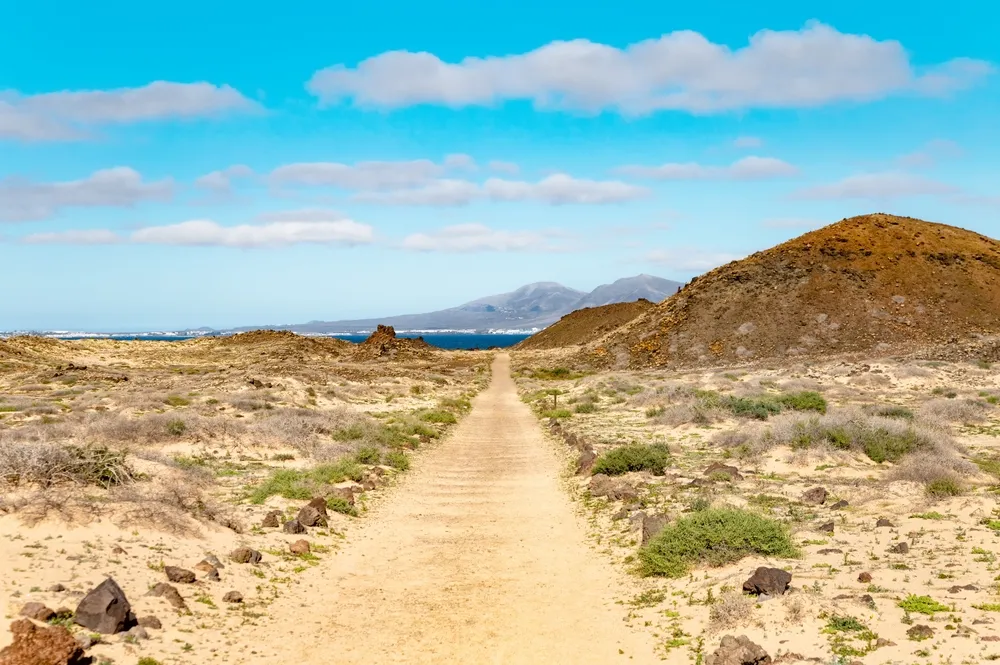  isla de lobos
